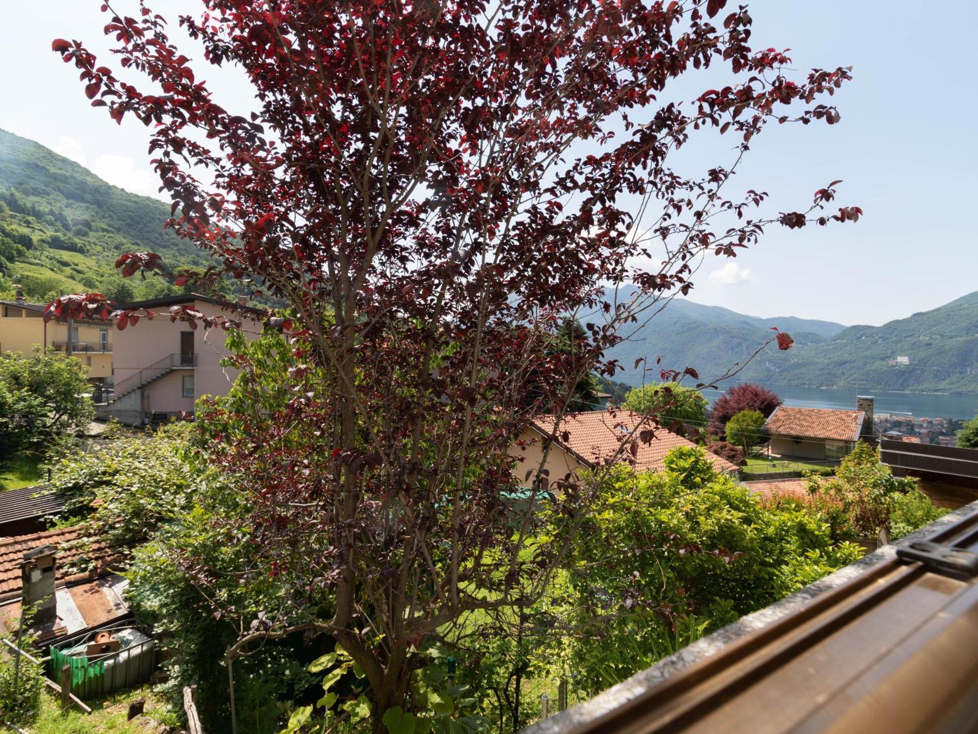 Mamma Ciccia Holiday Home - Mountains & Lake Mandello del Lario Exteriér fotografie